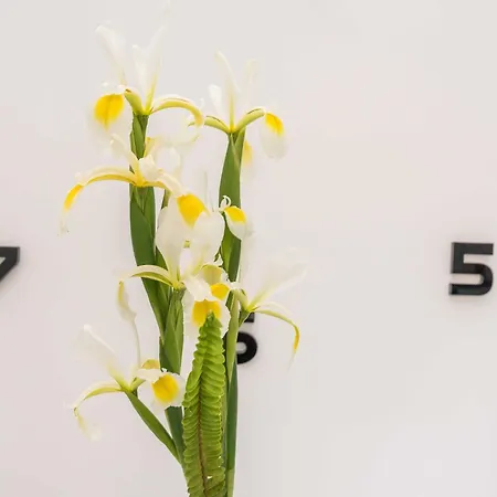 Appartement Maza - One Bedroom With Balcony Angela Zadar