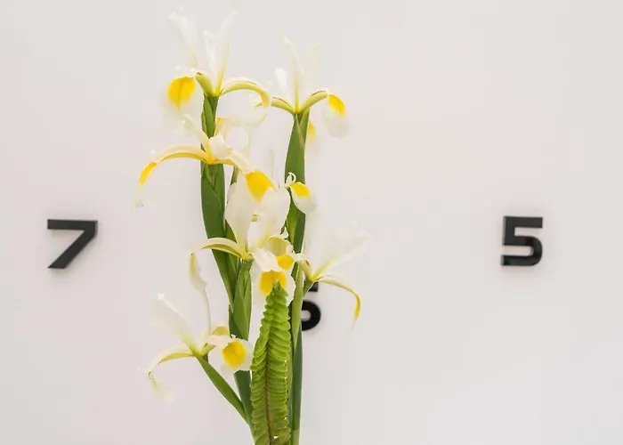 Lejlighed Maza - One Bedroom With Balcony Angela Zadar